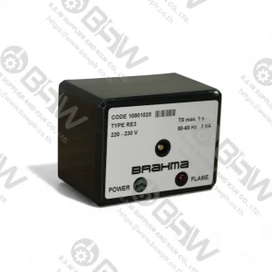 BRAHMA Burner Control - RE Series 