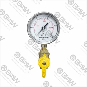Nuova Fima Pressure Gauge