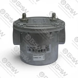 GF 507/1 Dungs Gas Filter