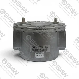 GF 510/1 Dungs Gas Filter