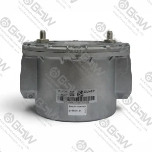 GF 1010/1 Dungs Gas Filter